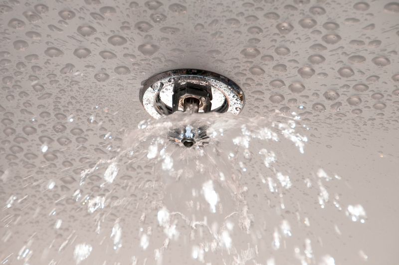 Fire Sprinkler Leak Prevention